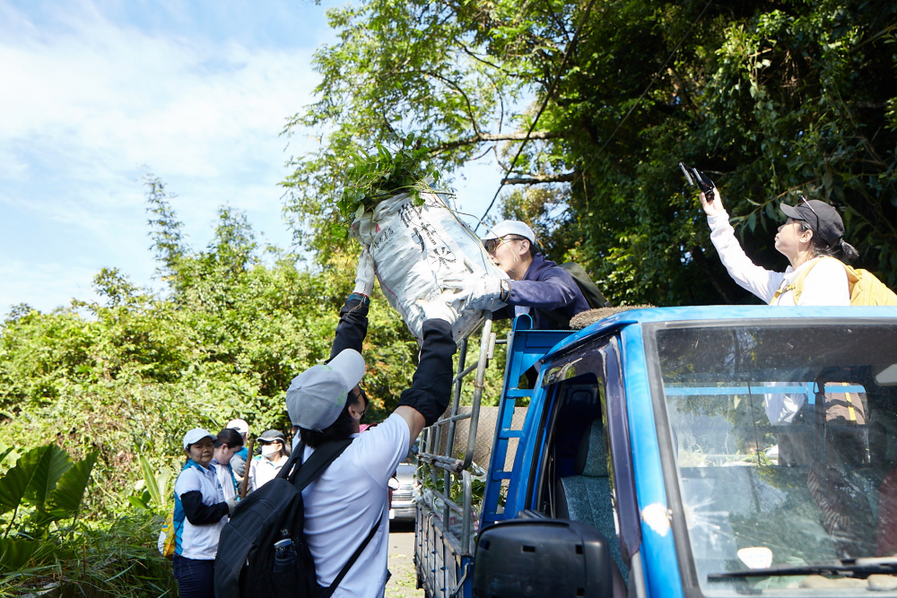 友達串聯志工組成水環境巡守隊，針對霄裡溪沿岸3公里的小花蔓澤蘭，定期進行移除與防治工作
